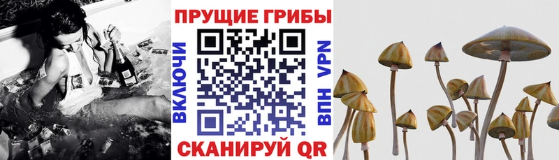 Галлюциногенные грибы ЛСД  Первомайск 